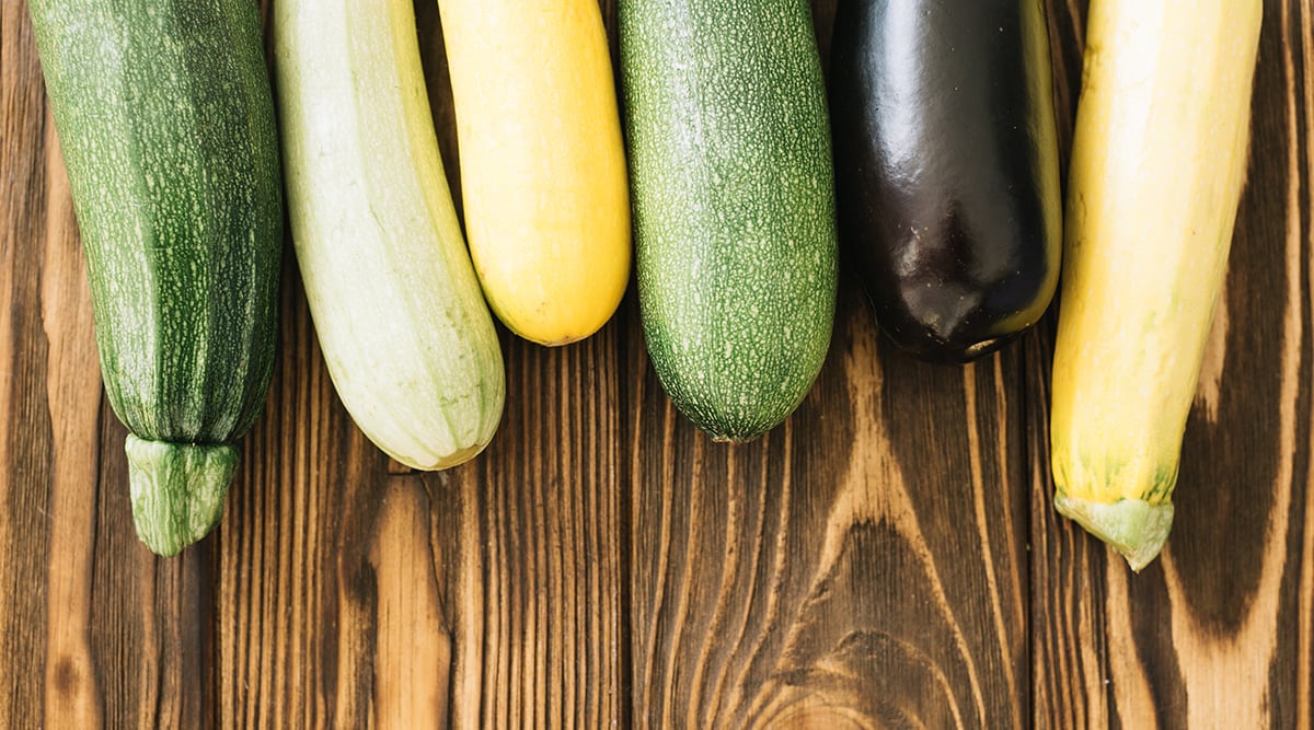 Cultiver Les Courgettes En Permaculture Le Permaculteur